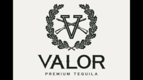 V VALOR Logo (USPTO, 06/27/2016)