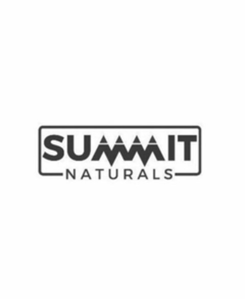 SUMMIT NATURALS Logo (USPTO, 05/10/2018)