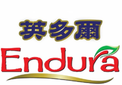 ENDURA Logo (USPTO, 28.04.2009)