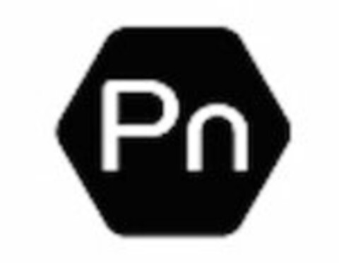 PN Logo (USPTO, 29.06.2015)