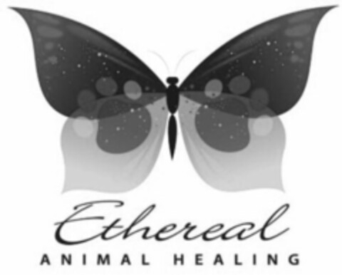 ETHEREAL ANIMAL HEALING Logo (USPTO, 08.06.2020)