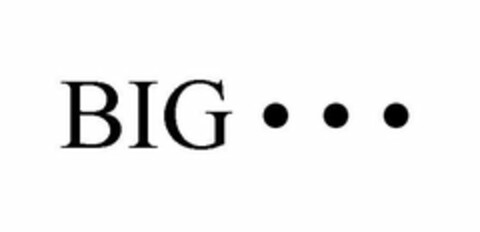 BIG Logo (USPTO, 12/08/2010)