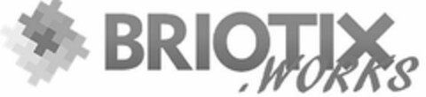 BRIOTIX .WORKS Logo (USPTO, 16.01.2018)