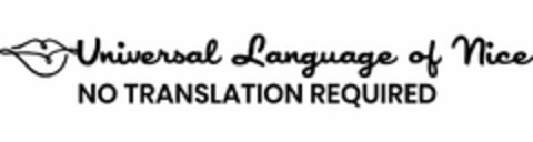 UNIVERSAL LANGUAGE OF NICE NO TRANSLATION REQUIRED Logo (USPTO, 05/10/2018)