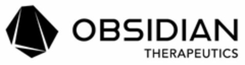 OBSIDIAN THERAPEUTICS Logo (USPTO, 07/23/2019)