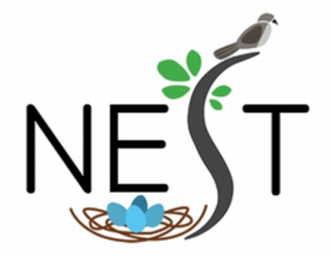 NEST Logo (USPTO, 15.06.2020)