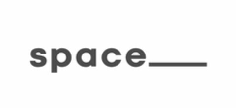 SPACE Logo (USPTO, 26.06.2020)