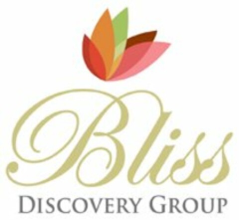 BLISS DISCOVERY GROUP Logo (USPTO, 29.12.2009)