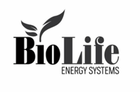 BIOLIFE ENERGY SYSTEMS Logo (USPTO, 02.09.2010)