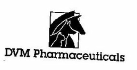 DVM PHARMACEUTICALS Logo (USPTO, 11/22/2010)