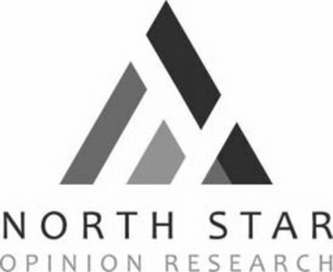 NORTH STAR OPINION RESEARCH Logo (USPTO, 06/20/2016)