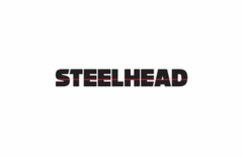 STEELHEAD Logo (USPTO, 11.01.2019)