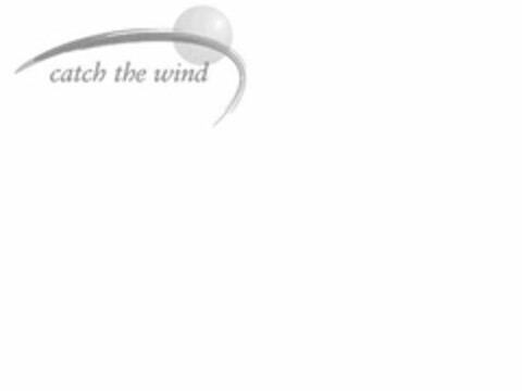 CATCH THE WIND Logo (USPTO, 11/30/2010)