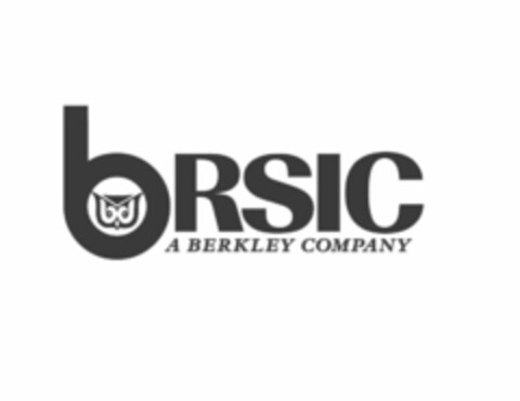 BRSIC A BERKLEY COMPANY Logo (USPTO, 07/20/2012)