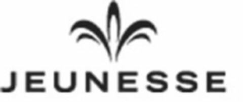 JEUNESSE Logo (USPTO, 03/28/2013)