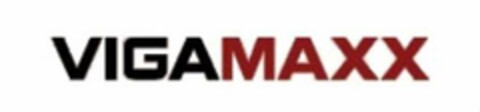 VIGAMAXX Logo (USPTO, 08/02/2017)