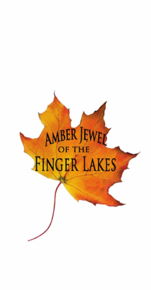 AMBER JEWEL OF THE FINGER LAKES Logo (USPTO, 21.07.2010)