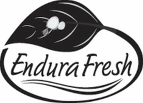 ENDURAFRESH Logo (USPTO, 03.08.2012)