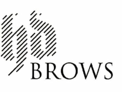 HD BROWS Logo (USPTO, 02.04.2013)