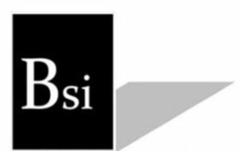 BSI Logo (USPTO, 10.04.2014)