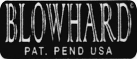 BLOWHARD PAT. PEND USA Logo (USPTO, 05.09.2015)