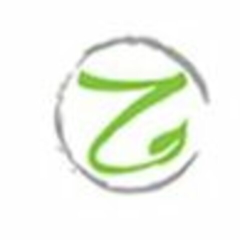 Z Logo (USPTO, 08/15/2016)