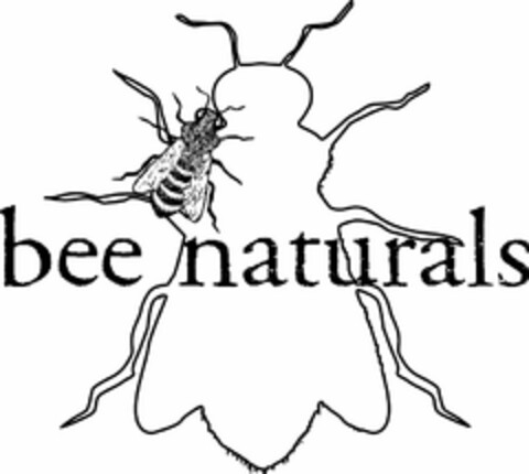 BEE NATURALS Logo (USPTO, 03.02.2020)