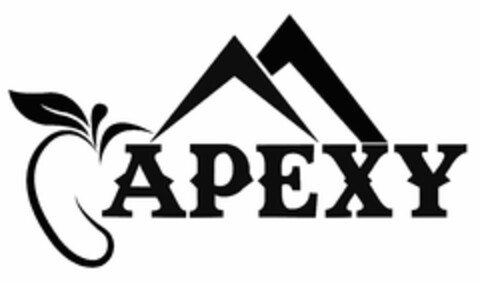 APEXY Logo (USPTO, 03/09/2020)