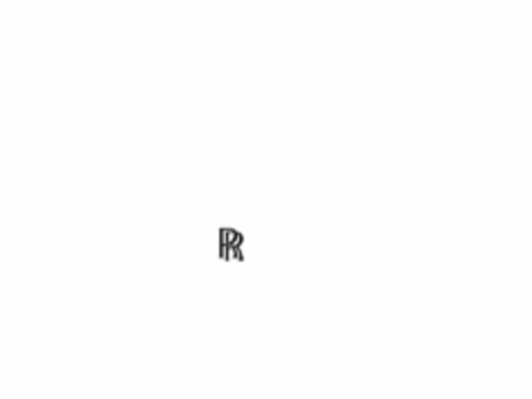 RR Logo (USPTO, 18.08.2010)