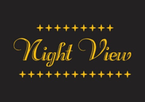 NIGHT VIEW Logo (USPTO, 29.02.2016)