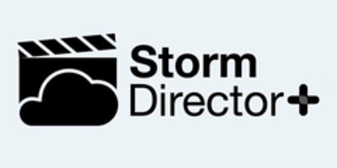 STORM DIRECTOR+ Logo (USPTO, 02/23/2017)