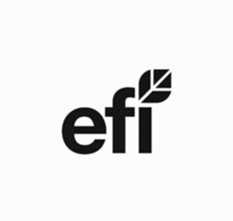 E F I Logo (USPTO, 07/26/2017)