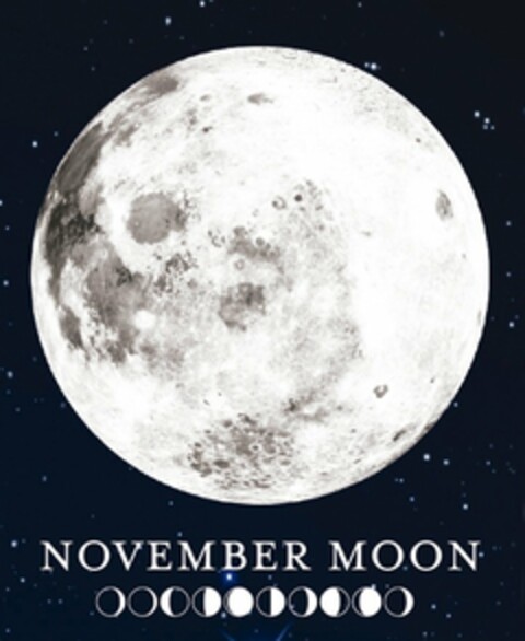 NOVEMBER MOON Logo (USPTO, 05.03.2019)