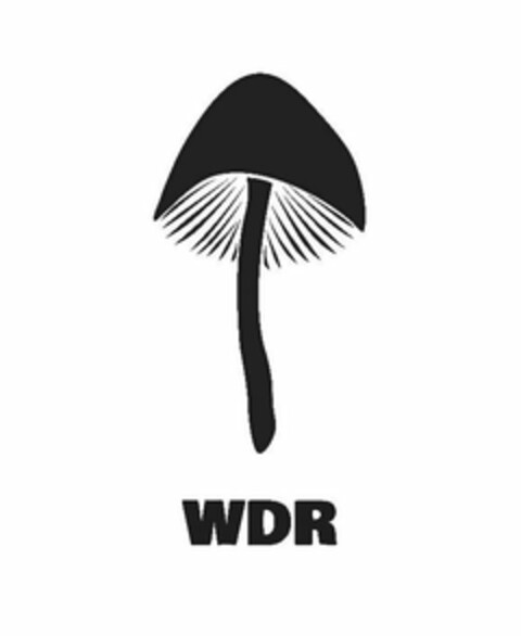 WDR Logo (USPTO, 01/04/2020)