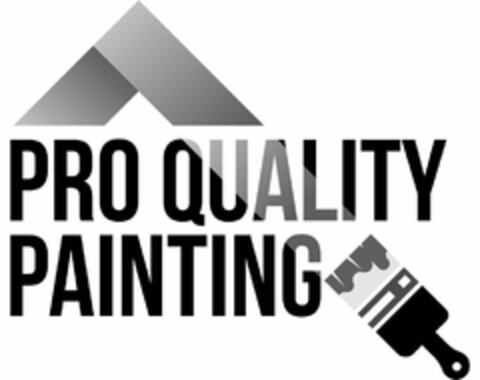 PRO QUALITY PAINTING Logo (USPTO, 08/14/2020)