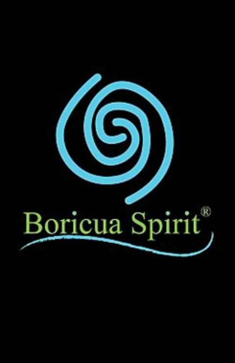 BORICUA SPIRIT Logo (USPTO, 05/24/2011)