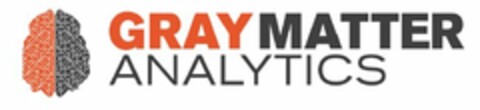 GRAY MATTER ANALYTICS Logo (USPTO, 21.11.2013)