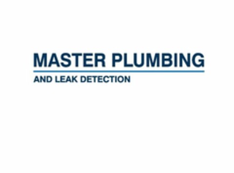 MASTER PLUMBING AND LEAK DETECTION Logo (USPTO, 06/19/2014)