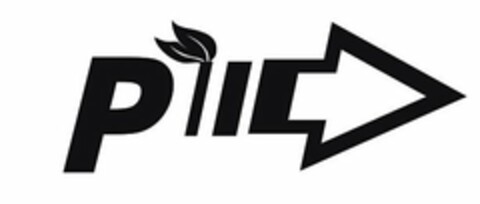 PII Logo (USPTO, 08.08.2014)