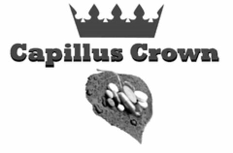 CAPILLUS CROWN Logo (USPTO, 03/16/2017)