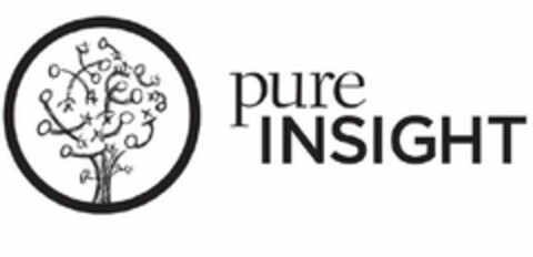 PURE INSIGHT Logo (USPTO, 29.07.2017)