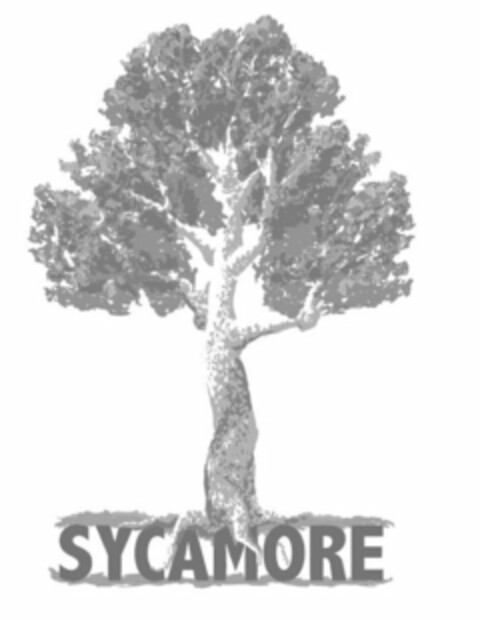 SYCAMORE Logo (USPTO, 02/20/2018)