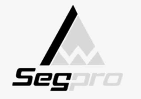 W SEGPRO Logo (USPTO, 06/30/2020)