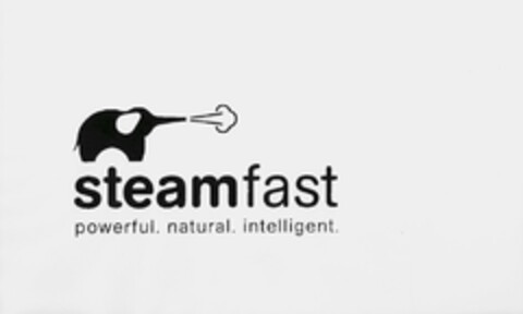 STEAMFAST POWERFUL. NATURAL. INTELLIGENT. Logo (USPTO, 06/26/2009)