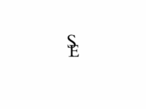 SE Logo (USPTO, 07/14/2009)