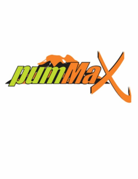 PUMMAX Logo (USPTO, 21.05.2010)