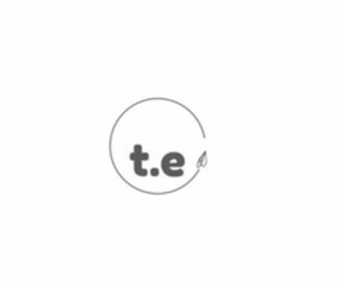 T.E Logo (USPTO, 05.09.2019)