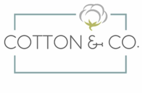 COTTON & CO. Logo (USPTO, 24.10.2019)
