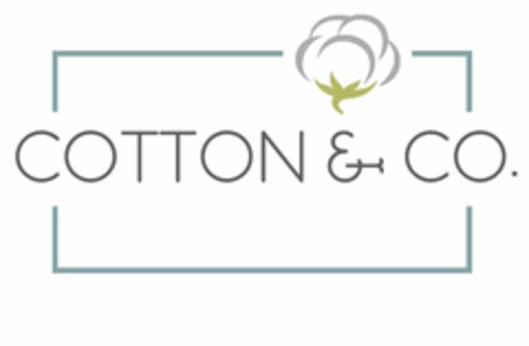 COTTON & CO. Logo (USPTO, 10/24/2019)