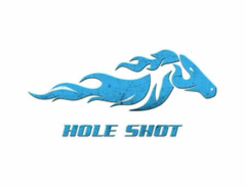 HOLE SHOT Logo (USPTO, 20.07.2020)